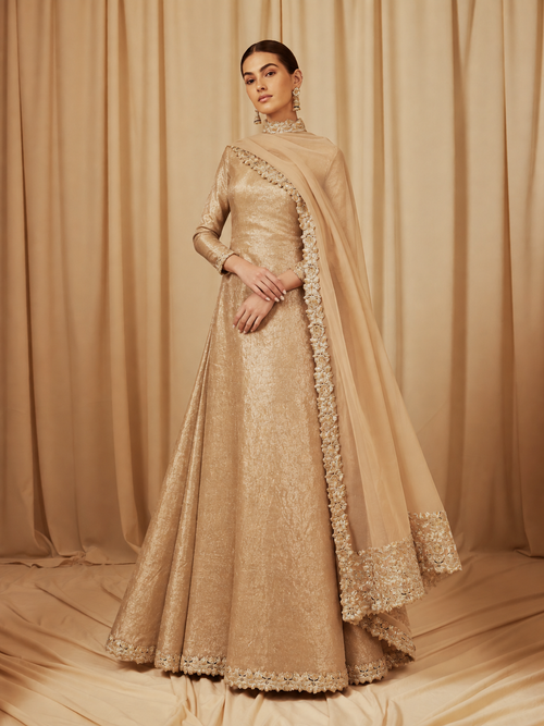 AI demo — Champagne Tissue Anarkali Set, angle